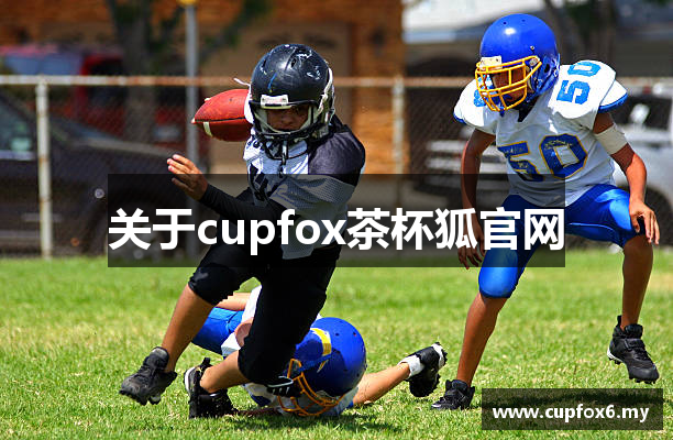 关于cupfox茶杯狐官网